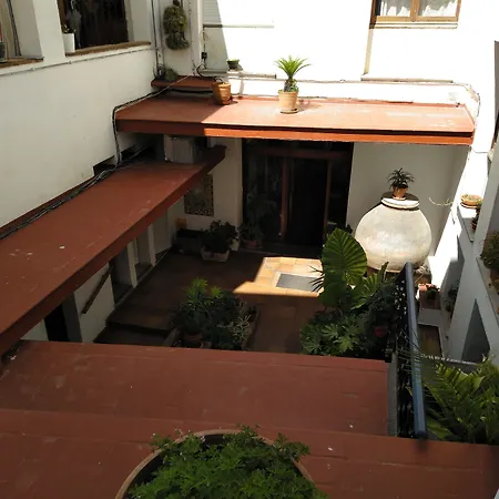 Corisco Tossa de Mar