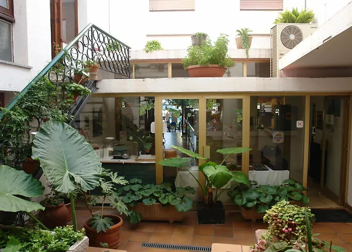 Corisco Tossa de Mar